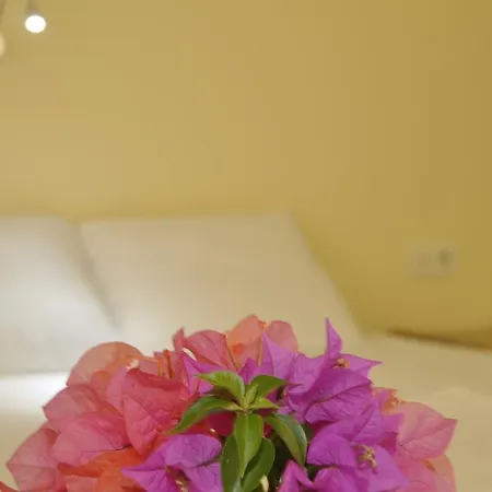 Koc Kekova Bed & Breakfast *